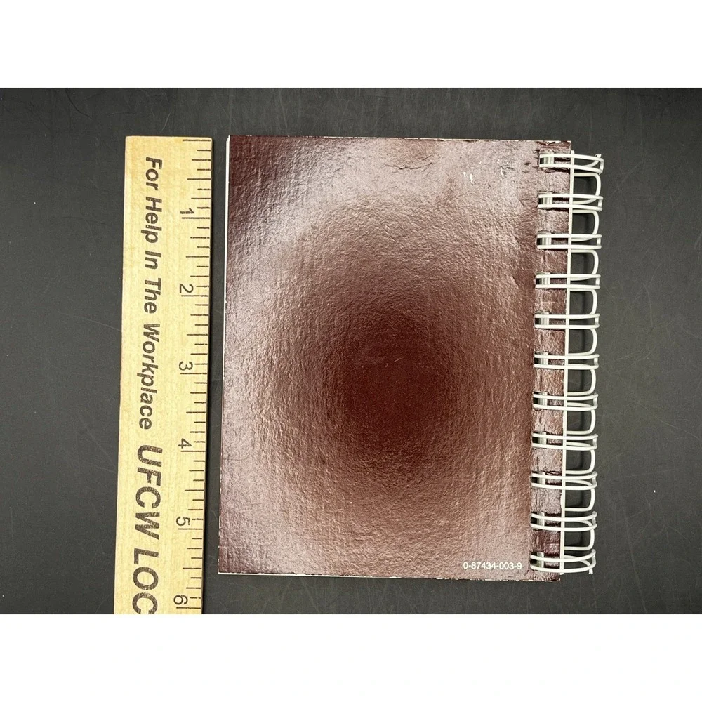 Clinical Pocket Manual‎ Fluids and Electrolytes Spiral Bound Medical Reference